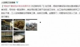 长春爆料打脸视频,打脸瞬间揭露事实真相